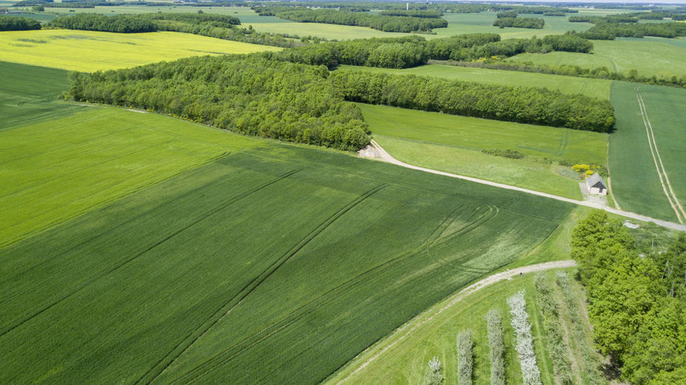 L'objectif de la mission était de poser un diagnostic précis de l'évolution de la biodiversité dans les paysages agricoles.
