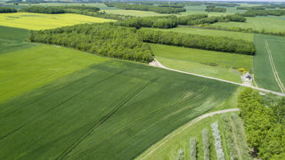 L'objectif de la mission était de poser un diagnostic précis de l'évolution de la biodiversité dans les paysages agricoles. L'objectif de la mission était de poser un diagnostic précis de l'évolution de la biodiversité dans les paysages agricoles.
