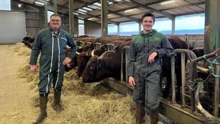 Thierry Champeix, aidé de son fils Théo, cultive du méteil qu'il utilise en ensilage comme en grains pour l'alimentation de ses salers. Thierry Champeix, aidé de son fils Théo, cultive du méteil qu'il utilise en ensilage comme en grains pour l'alimentation de ses salers.