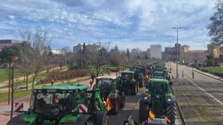 Le 14 février 2024 à Valladolid et dans plusieurs grandes villes espagnoles, les agriculteurs étaient nombreux à manifester sur les axes routiers. Le 14 février 2024 à Valladolid et dans plusieurs grandes villes espagnoles, les agriculteurs étaient nombreux à manifester sur les axes routiers.