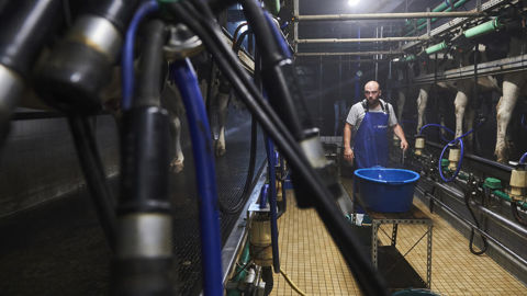 Les salariés sont de plus en plus présents sur les exploitations. Ici Damien, salarié sur une exploitation laitière dans le Finistère en 2022.