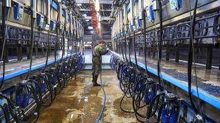 La collecte française de lait de vache a diminué de 2,7 % entre 2022 et 2023, marquée par des disparités régionales. La collecte française de lait de vache a diminué de 2,7 % entre 2022 et 2023, marquée par des disparités régionales.