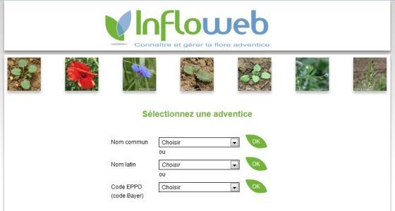 Pour y accéder : www.infloweb.fr (accès libre).