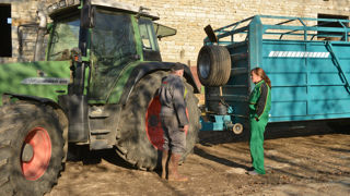 Le collectif Nourrir veut plus d'ambition pour renouveler les générations agricoles. Le collectif Nourrir veut plus d'ambition pour renouveler les générations agricoles.