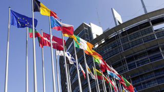 La loi sur la restauration de la nature a été adoptée par le Parlement européen le 27 février 2024. La loi sur la restauration de la nature a été adoptée par le Parlement européen le 27 février 2024.