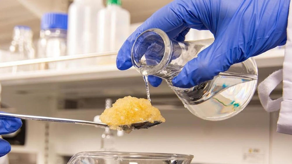 EF Polymer, lauréat d'un Sival d'argent au concours Innovation 2024.