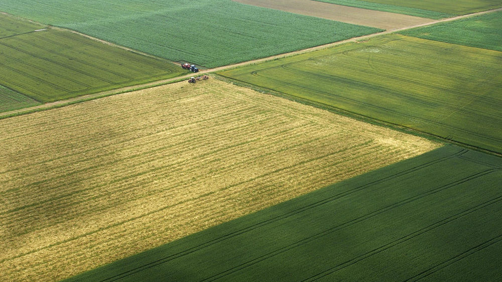 Les acteurs du portage sont divers dans la composition de leurs actionnariats, comme dans leur modèle d'acquisition et de location à plus ou moins long terme pour l'exploitant agricole.