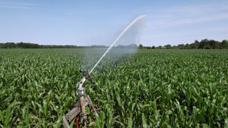 L’essentiel du parc d’irrigation en France est constitué par de l’aspersion, donc essentiellement d'enrouleurs.