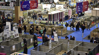 La soixantième édition du Salon international de l’agriculture a accueilli 603 652 visiteurs.