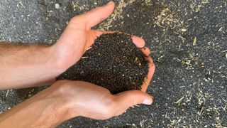 Terres Inovia et Terres Univia soulignent que le rendement et la qualité de la récolte de colza de 2023 sont dans la moyenne. Terres Inovia et Terres Univia soulignent que le rendement et la qualité de la récolte de colza de 2023 sont dans la moyenne.