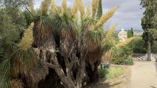 Les enjeux liés à la ressource en eau, les adaptations et solutions… feront débat et inviteront aux partages d’expériences, mercredi 20 mars, au sein du Campus Vert d’Azur à Antibes (06).