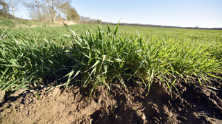 Le projet de l'Apad « Du carbone au cœur des sols » a obtenu la labellisation bas carbone grandes cultures le 4 mars 2024.