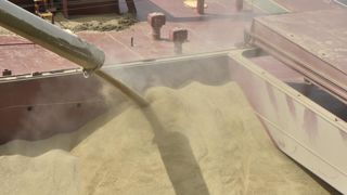 Depuis le début de 2024, les exportations russes de blé tendre ont ralenti. Depuis le début de 2024, les exportations russes de blé tendre ont ralenti.