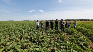 Les agriculteurs qui engagent des transformations de leur exploitation doivent être davantage soutenus par la Pac, juge la Cour des comptes. Les agriculteurs qui engagent des transformations de leur exploitation doivent être davantage soutenus par la Pac, juge la Cour des comptes.