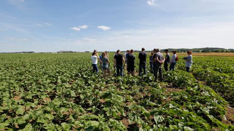 Les agriculteurs qui engagent des transformations de leur exploitation doivent être davantage soutenus par la Pac, juge la Cour des comptes.
