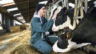 Le palmarès des lycées est un classement national dont les données proviennent du ministère de l'Agriculture et qui peuvent vous faciliter votre orientation. Le palmarès des lycées est un classement national dont les données proviennent du ministère de l'Agriculture et qui peuvent vous faciliter votre orientation.
