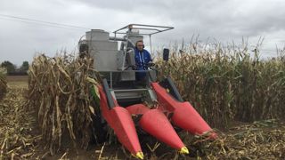 Les essais de fertilisation du maïs avec de l'urine humaine ont été réalisés sur les microparcelles chez un agriculteur de Toussus-le-Noble, dans les Yvelines.