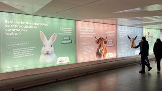 Sanders s’implique pour que l’élevage français reprenne du poil de la bête