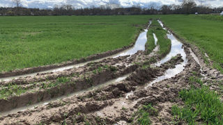 Les exploitants ont souvent du mal à rentrer dans leurs parcelles, créant ainsi des ornières impressionnantes. Les exploitants ont souvent du mal à rentrer dans leurs parcelles, créant ainsi des ornières impressionnantes.