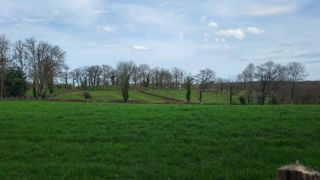 Le premier cycle de pâturage n'a toujours pas commencé dans bon nombre de régions.