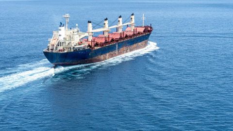15 % du commerce maritime mondial, 20 % du commerce céréalier mondial et un tiers du blé européen exporté dans le monde transitent par la mer Rouge
