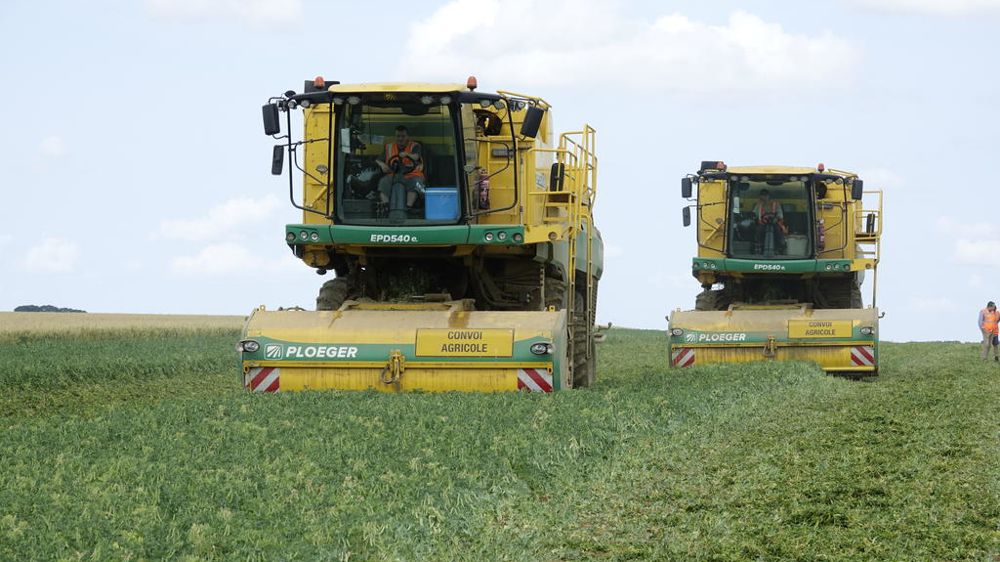 De juin à août, les automotrices de récolte de pois Oxbo EPD540e tournent à plein régime.