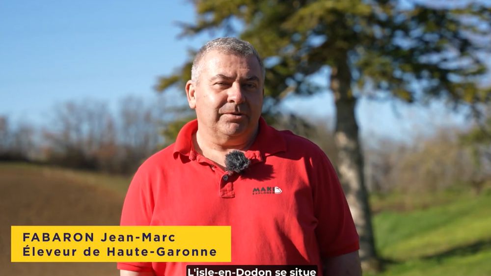 Agrivoltaïsme et porcs plein air : un projet innovant sur les rails ?