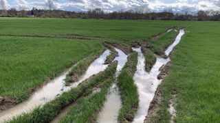 L'excès de pluies pourrait compromettre les semis d'orges de printemps dans certaines régions de l'Union européenne. L'excès de pluies pourrait compromettre les semis d'orges de printemps dans certaines régions de l'Union européenne.