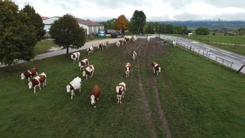 Robot Et Pâturage à La Ferme Expérimentale De Derval – Forum Web-agri