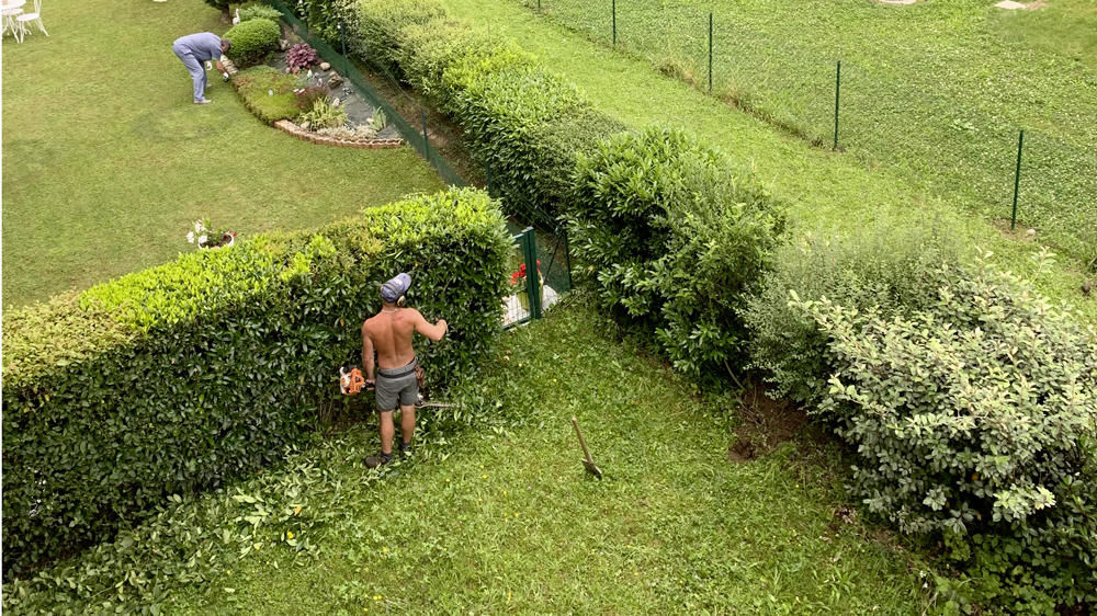 L’Union nationale des entreprises du paysage rappelle que l’interdiction de taille des haies entre le 15 mars et le 15 août ne concerne que les haies agricoles, et non les haies des jardins de particuliers.