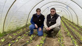 Mélanie et Grégory Bonnement possèdent 5 000 m² de serres plastiques non chauffées. Ils viennent de planter des salades sous l’un de leur tunnel. Mélanie et Grégory Bonnement possèdent 5 000 m² de serres plastiques non chauffées. Ils viennent de planter des salades sous l’un de leur tunnel.