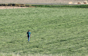 Il n'est pas possible pour un agriculteur seul de rester l'unique associé d'un Gaec. Il n'est pas possible pour un agriculteur seul de rester l'unique associé d'un Gaec.