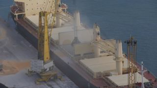 Les prix des céréales et oléagineux sont instables cette semaine, conséquence des tensions en mer Noire et des incertitudes sur la nouvelle récolte.