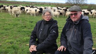 « En dehors de l'agnelage, les brebis continueront de valoriser les prairies et les couverts », expliquent Rachel et Pierre Roger.