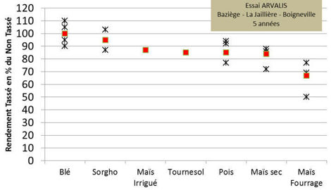 Effet du tassement du sol sur le rendement selon les espèces et leur période d’enracinement Effet du tassement du sol sur le rendement selon les espèces et leur période d’enracinement
