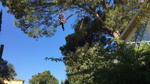 Face à une législation de plus en plus draconienne, les élagueurs et autres professionnels de l’arbre s’interrogent : n’y a-t-il pas un risque de voir le métier ne plus s’exercer que durant quelques mois, mettant en danger la profession ?