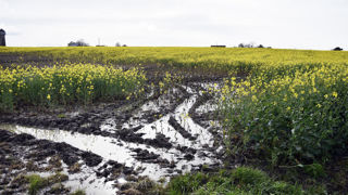 Le mois de mars 2024 a été marqué par des pluies abondantes et des crues sur une large partie du pays.