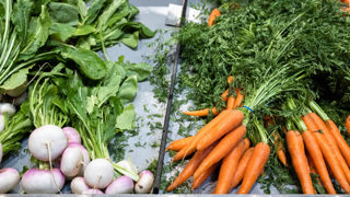 La Confédération paysanne plaide pour relocaliser la production de fruits et légumes. La Confédération paysanne plaide pour relocaliser la production de fruits et légumes.