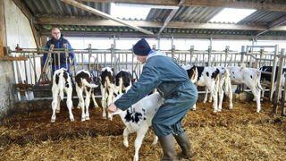 De plus en plus d'agriculteurs ont recours à des apprentis. De plus en plus d'agriculteurs ont recours à des apprentis.
