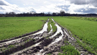 Les exploitants agricoles n’assurant qu’une partie de leurs productions ont jusqu'au 19 avril pour désigner l'interlocuteur unique chargé du versement de l'indemnisation de solidarité nationale.