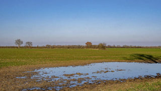 De l'Ain aux Yvelines, 42 départements ont fait l'objet de nouveaux arrêtés de reconnaissance en catastrophe naturelle. De l'Ain aux Yvelines, 42 départements ont fait l'objet de nouveaux arrêtés de reconnaissance en catastrophe naturelle.