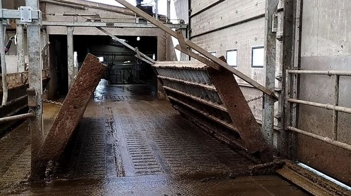 Un pont levis dans la stabulation peut faciliter les mouvements d'animaux.