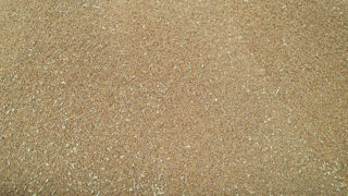 Les grains de blés non transformés font partis de la liste des denrées alimentaires concernées par ce règlement.