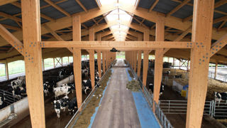 Le bâtiment long de 150 m et sa charpente à 26,5% de pente (14° à 15°) composée d’écailles impressionnent le visiteur. Les quatre côtés sont entièrement ouverts avec une hauteur de mur limitée à 1,50 m pour une ventilation naturelle maximale. Par l’effet « cheminée » créé, l’air chaud et l’humidité du bâtiment montent rapidement vers la faîtière haute de 11 m et sont tirés vers l’extérieur. Cette dernière large de 3,5 m est recouverte d’un dôme translucide qui, à cette hauteur, donne un effet éc