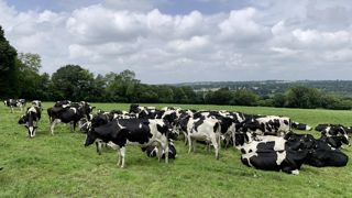 Les différentes voies possibles pour réduire les émissions de gaz à effet de serre ont été mises en œuvre pendant quatre ans sur le troupeau conventionnel de la ferme expérimentale de Trévarez (Finistère).