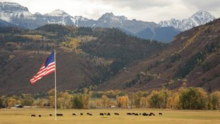 Les mouvements d'animaux et les contacts avec la faune sauvage ont favorisé la propagation de l'Influenza aviaire aux Etats-Unis. Les mouvements d'animaux et les contacts avec la faune sauvage ont favorisé la propagation de l'Influenza aviaire aux Etats-Unis.