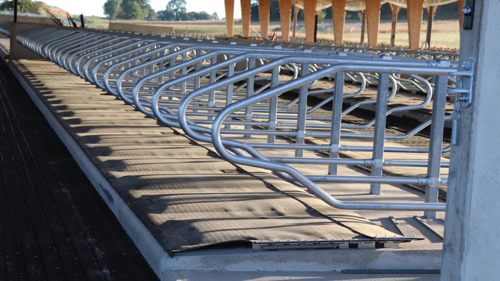 Le stress thermique doublement néfaste