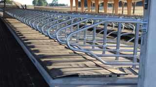 Le stress thermique doublement néfaste