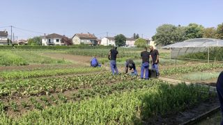 Un article paru dans la presse grand public le 12 avril dernier pour encourager les Français à « ne pas jardiner » par un week-end estival s’est avéré quelque peu contre-productif.