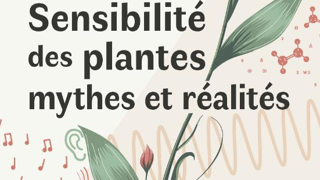 Des professeurs et chercheurs partageront leurs savoirs et connaissances sur une nouvelle vision du végétal, ses interactions et sa sensibilité. Des professeurs et chercheurs partageront leurs savoirs et connaissances sur une nouvelle vision du végétal, ses interactions et sa sensibilité.